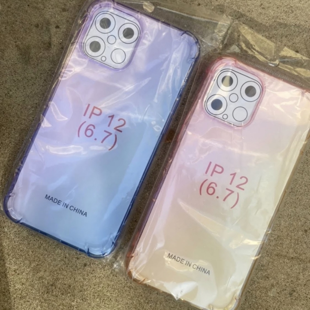 iPhone 12 Pro Max Case
